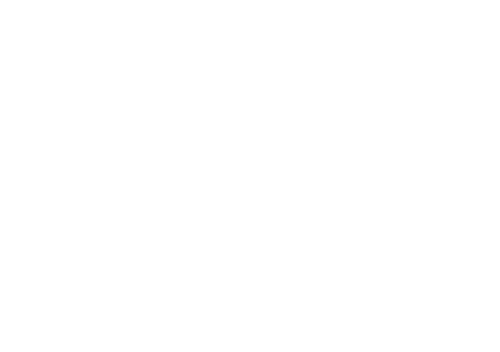 Logo smartview